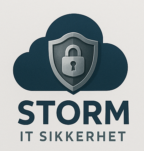 Storm IT Sikkerhet logo